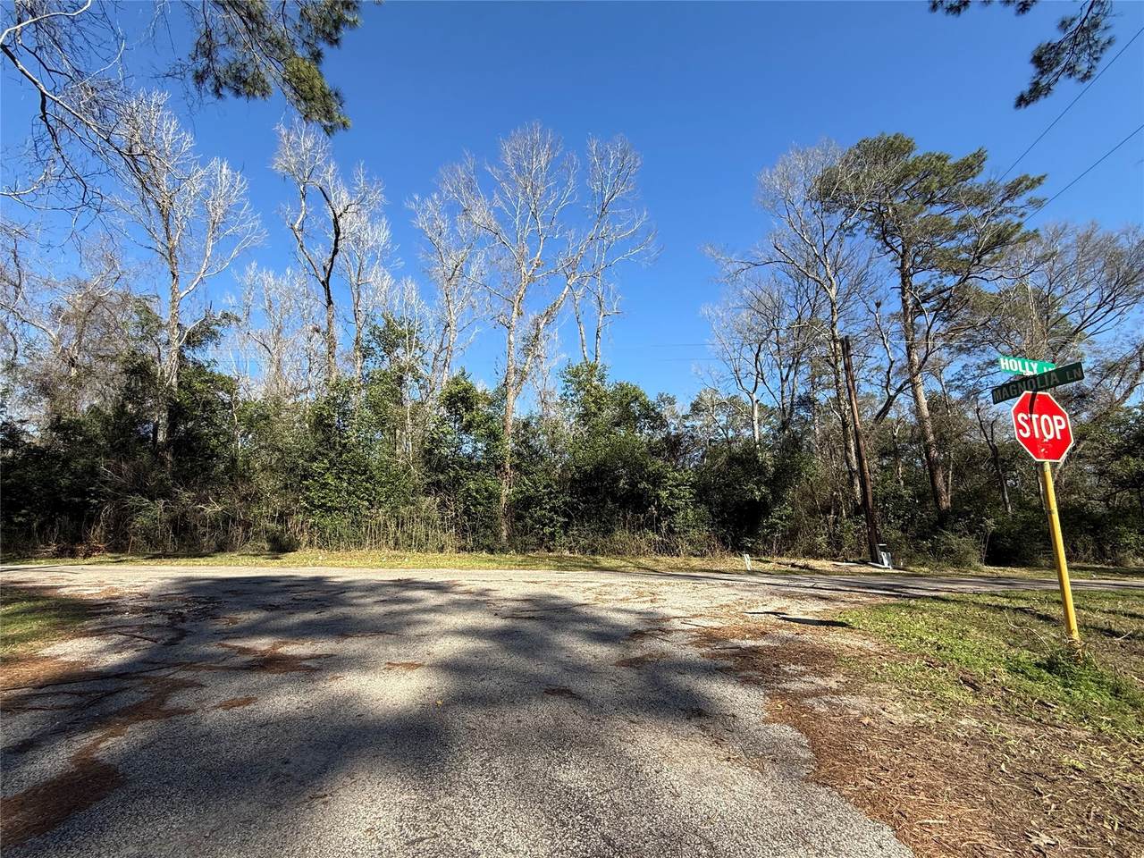 21927 Holly Lane - Photo 1