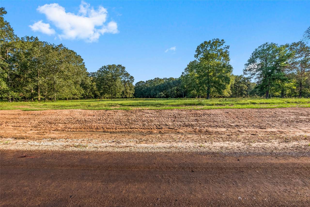 6052 Alans Memorial Lane - Photo 1