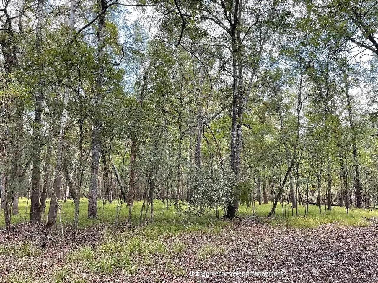 0 Road 2613 - Photo 1