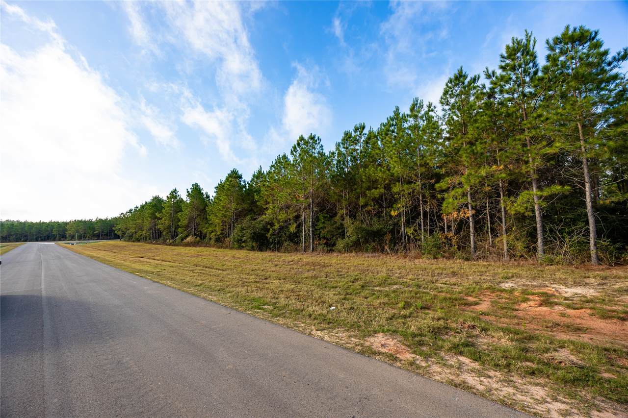 16320 Ridge Oak Road - Photo 1