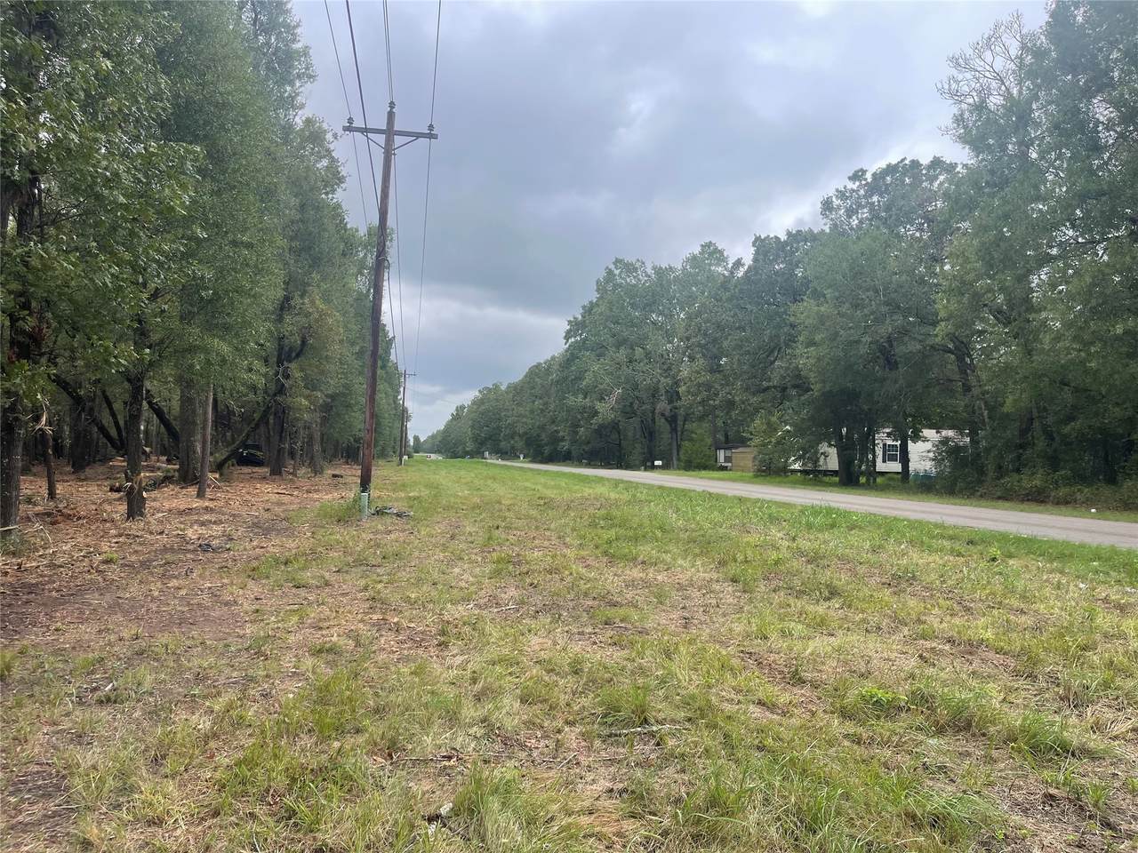 Tract C Mangum Road - Photo 1