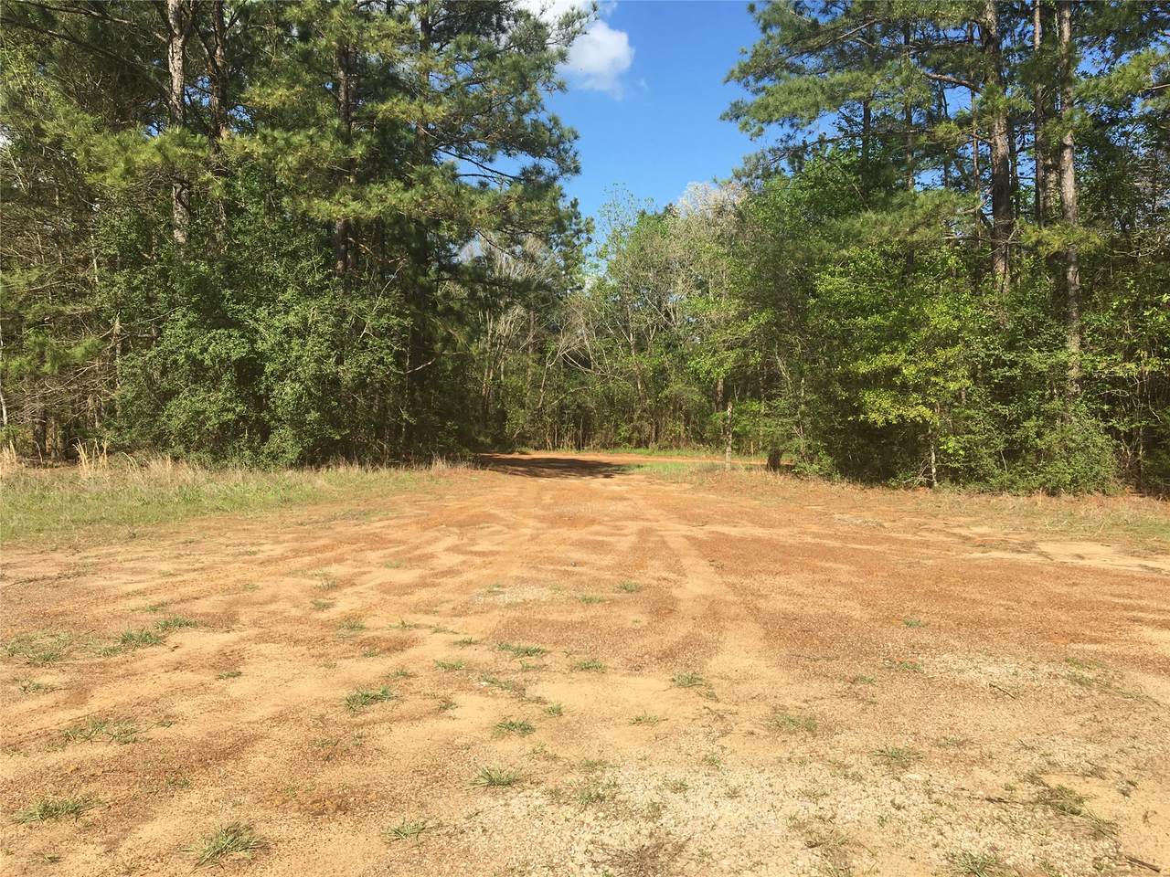 Lot 13 County Road 175 - Photo 1