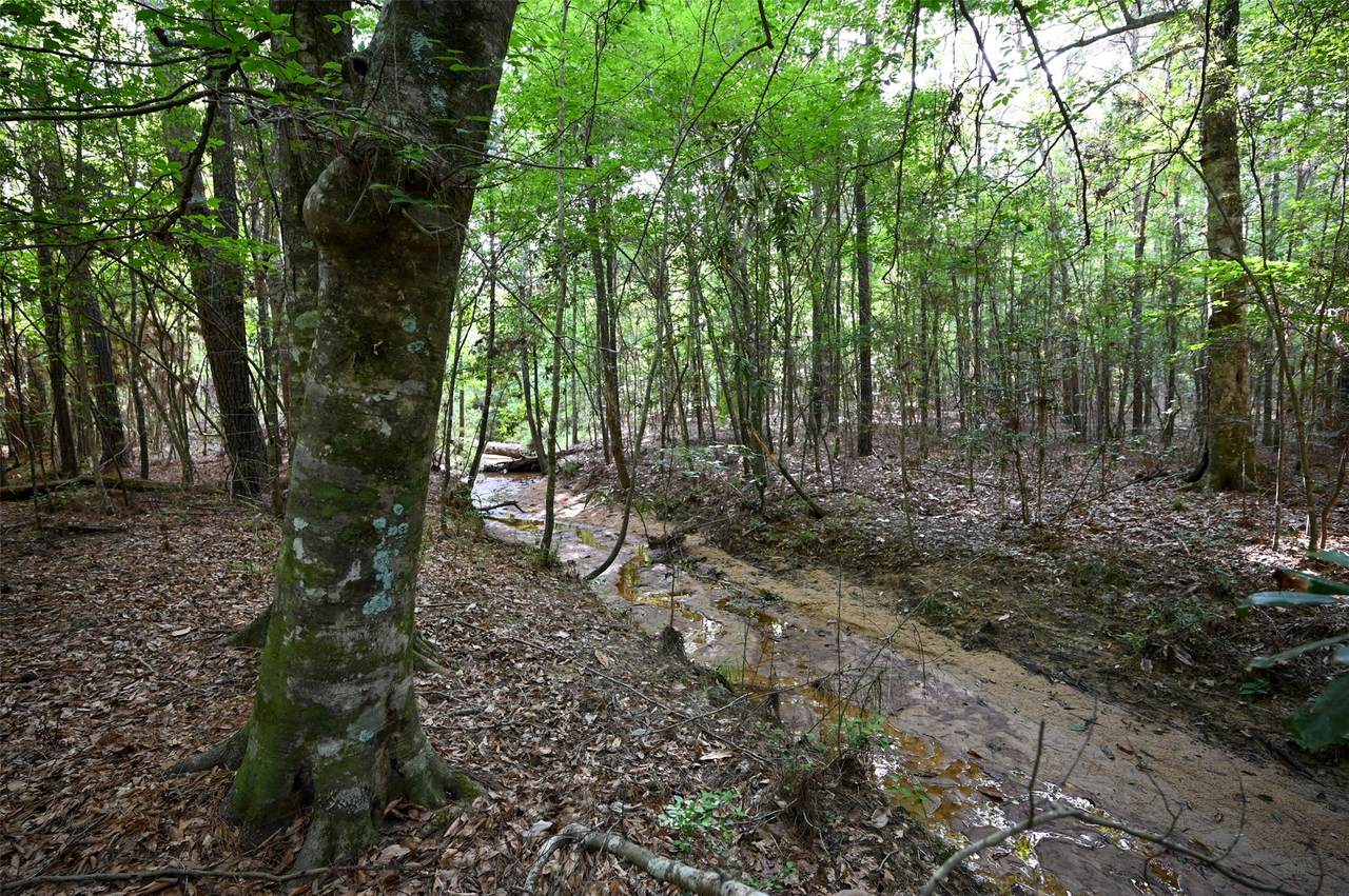 tbd Co Road 2150 - Photo 1