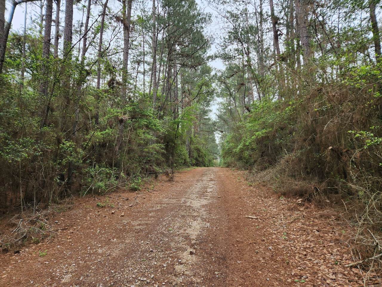 Lot 25 North Council Drive - Photo 1