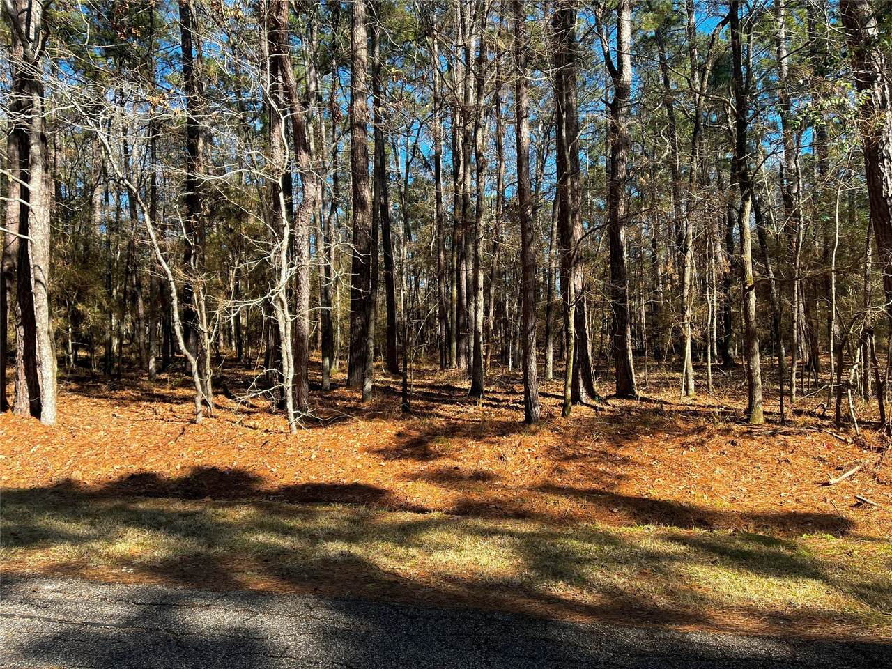 55 Green Tree Drive - Photo 1