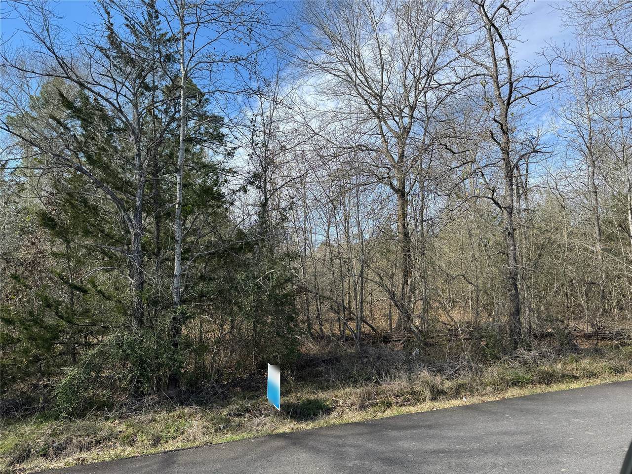 TBD Wood Farm Road - Photo 1