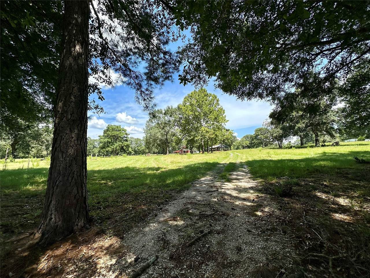 1080 Andrew Jackson Drive - Photo 1