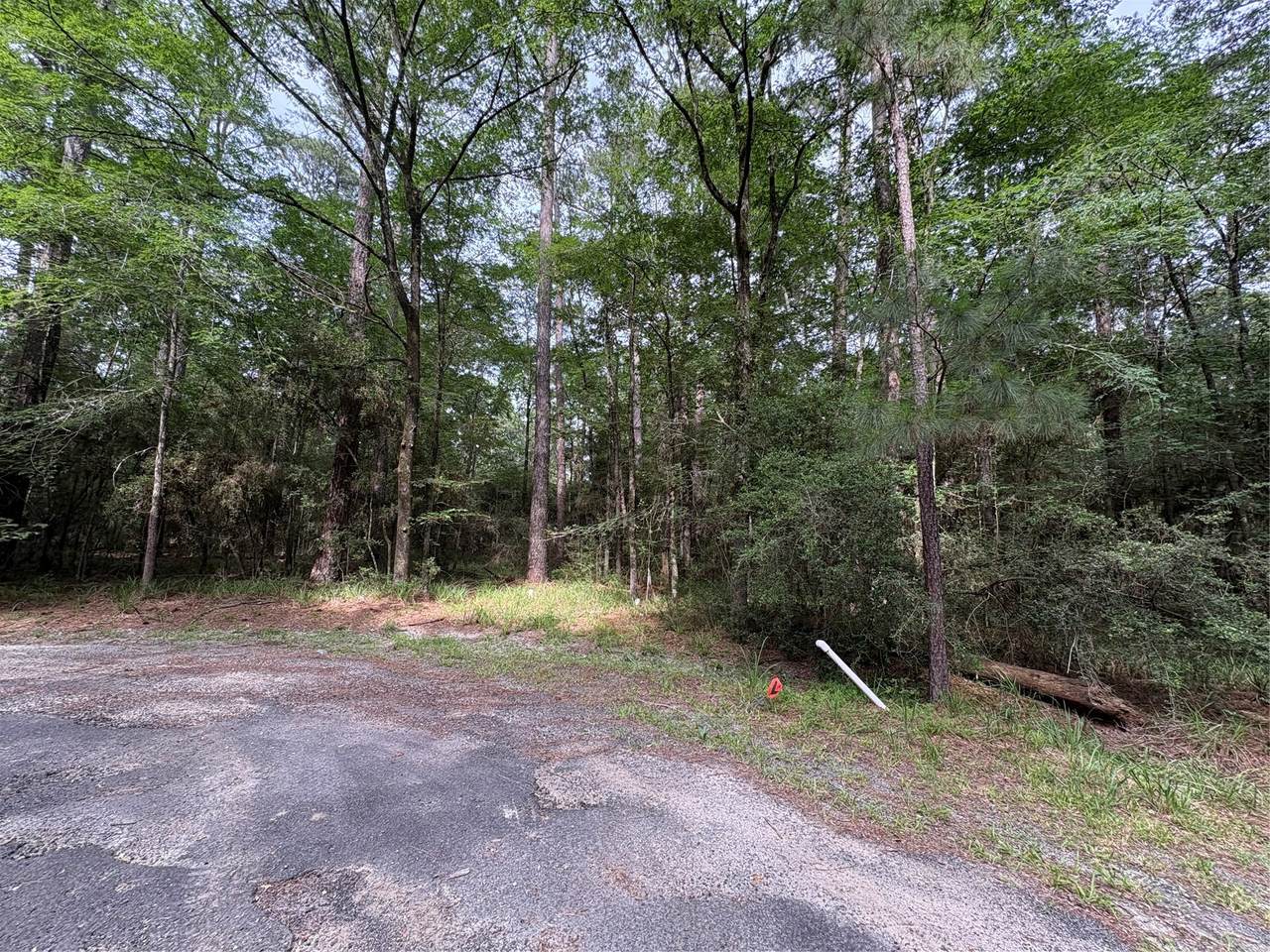 TBD Clear Springs Road - Photo 1