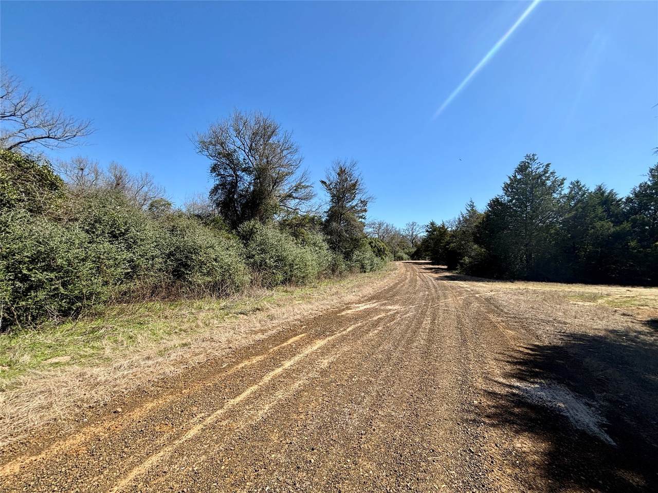 TBD Sycamore Branch Road - Photo 1