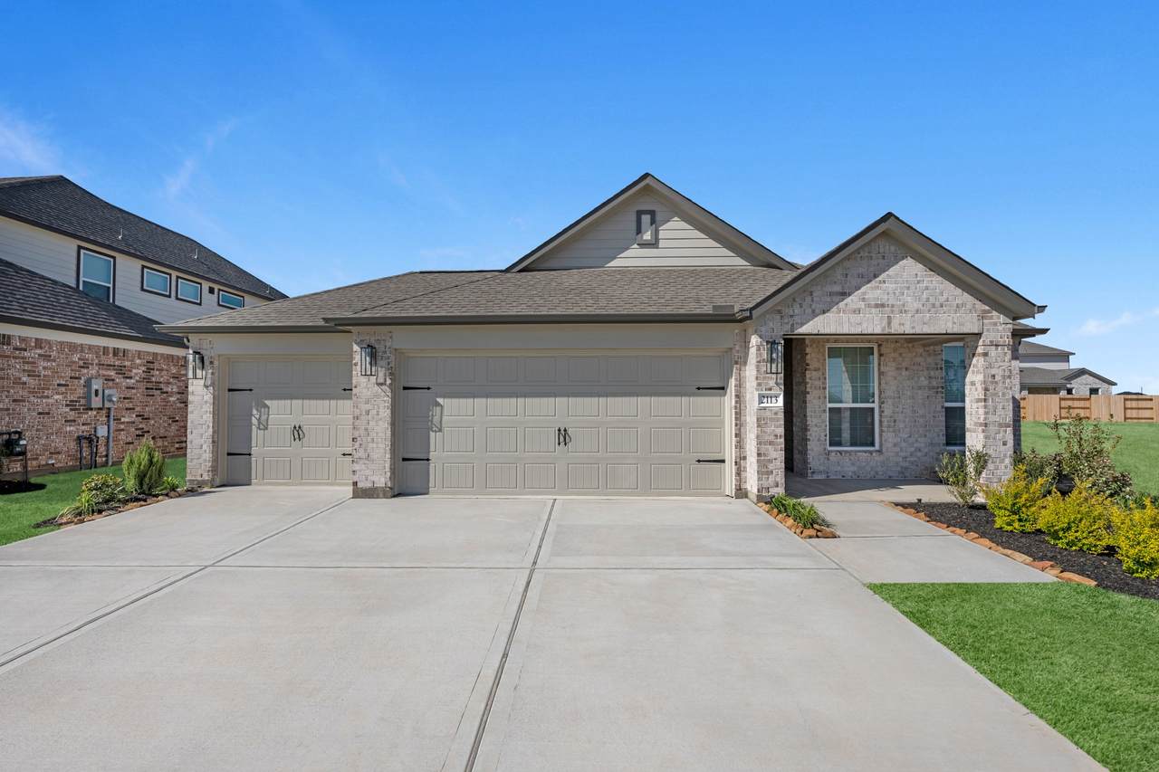 2113 Sunflower View Street - Photo 1