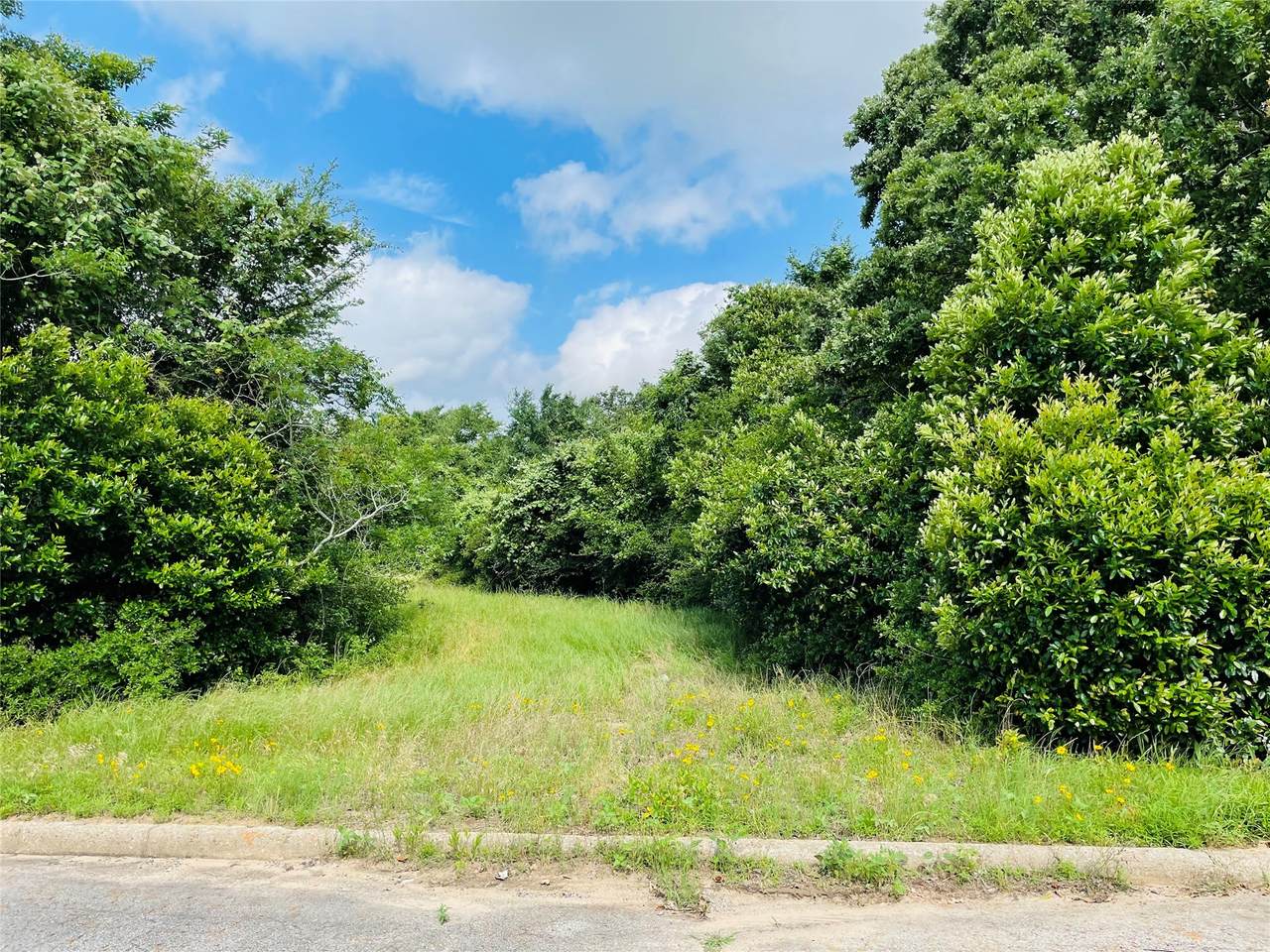 18 Holly Court - Photo 1