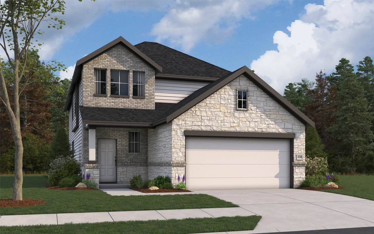 12219 Danza Drive - Photo 1