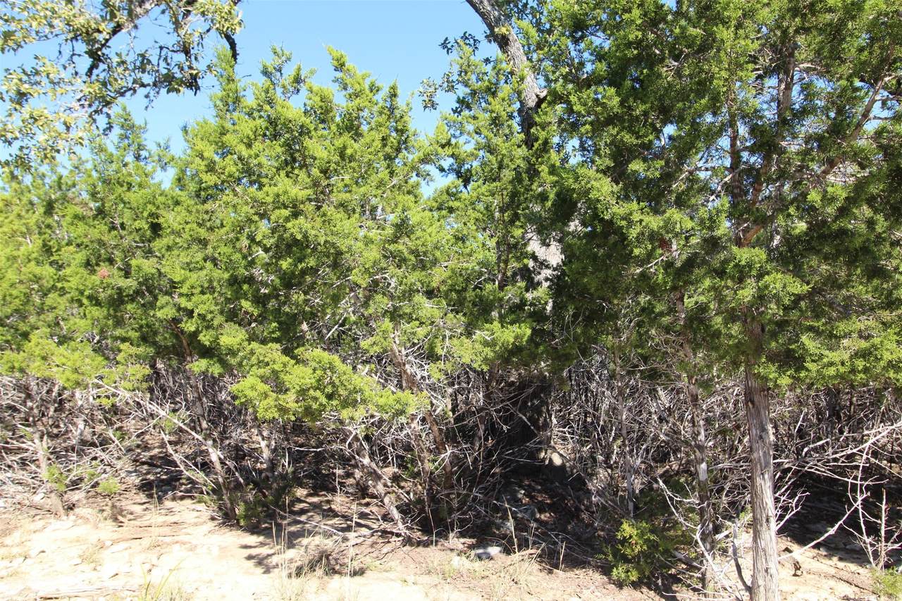 357 Big Bend Drive - Photo 1