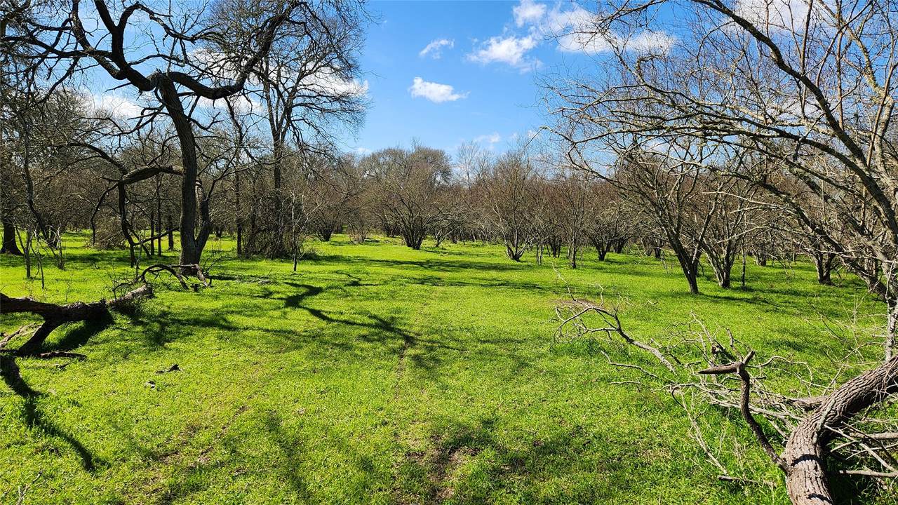 40499 Garrett Road - Photo 1