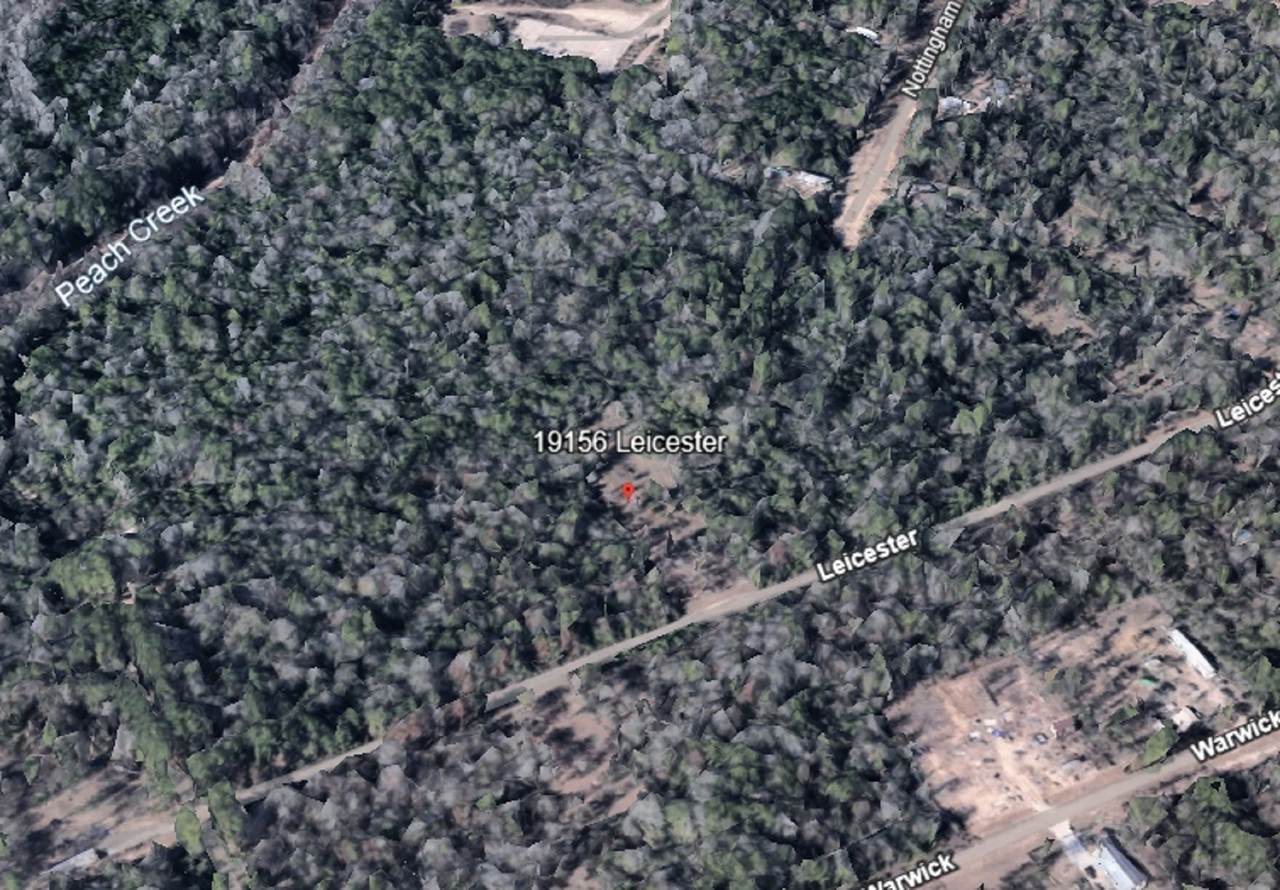 19156 Leicester - Photo 1