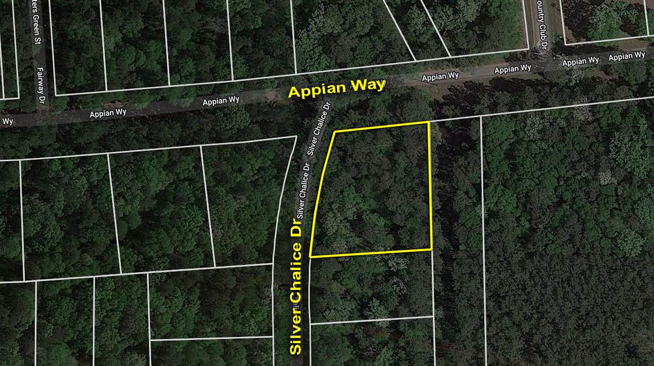 Lot 61 Appian Way - Photo 1