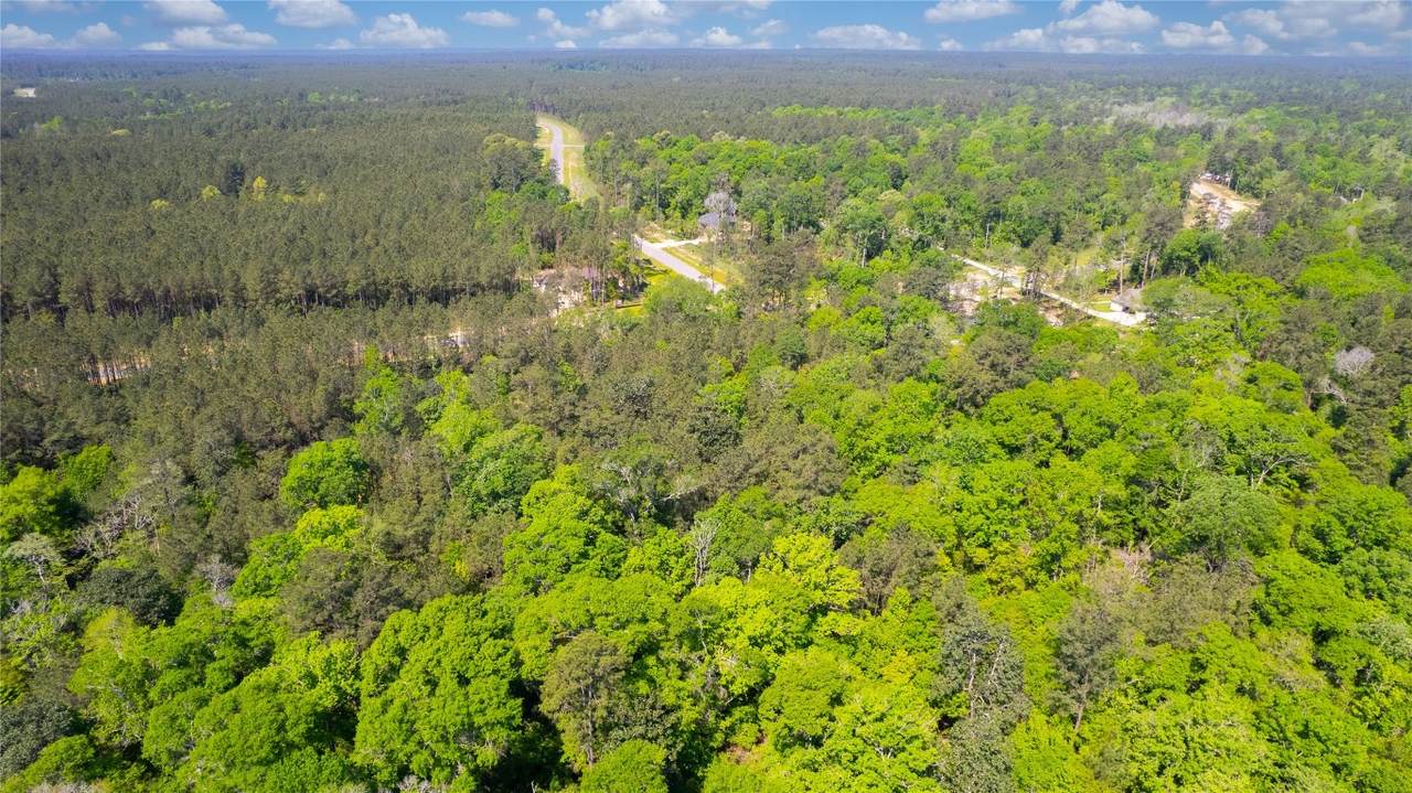 12868 Oak Barrel Road - Photo 1