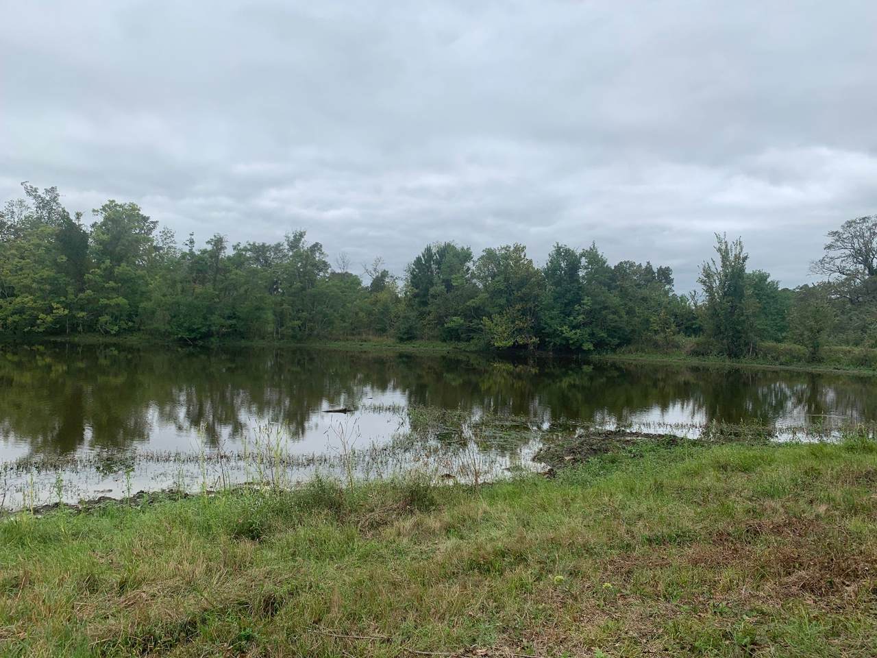 25572 Johnson Road - Photo 1