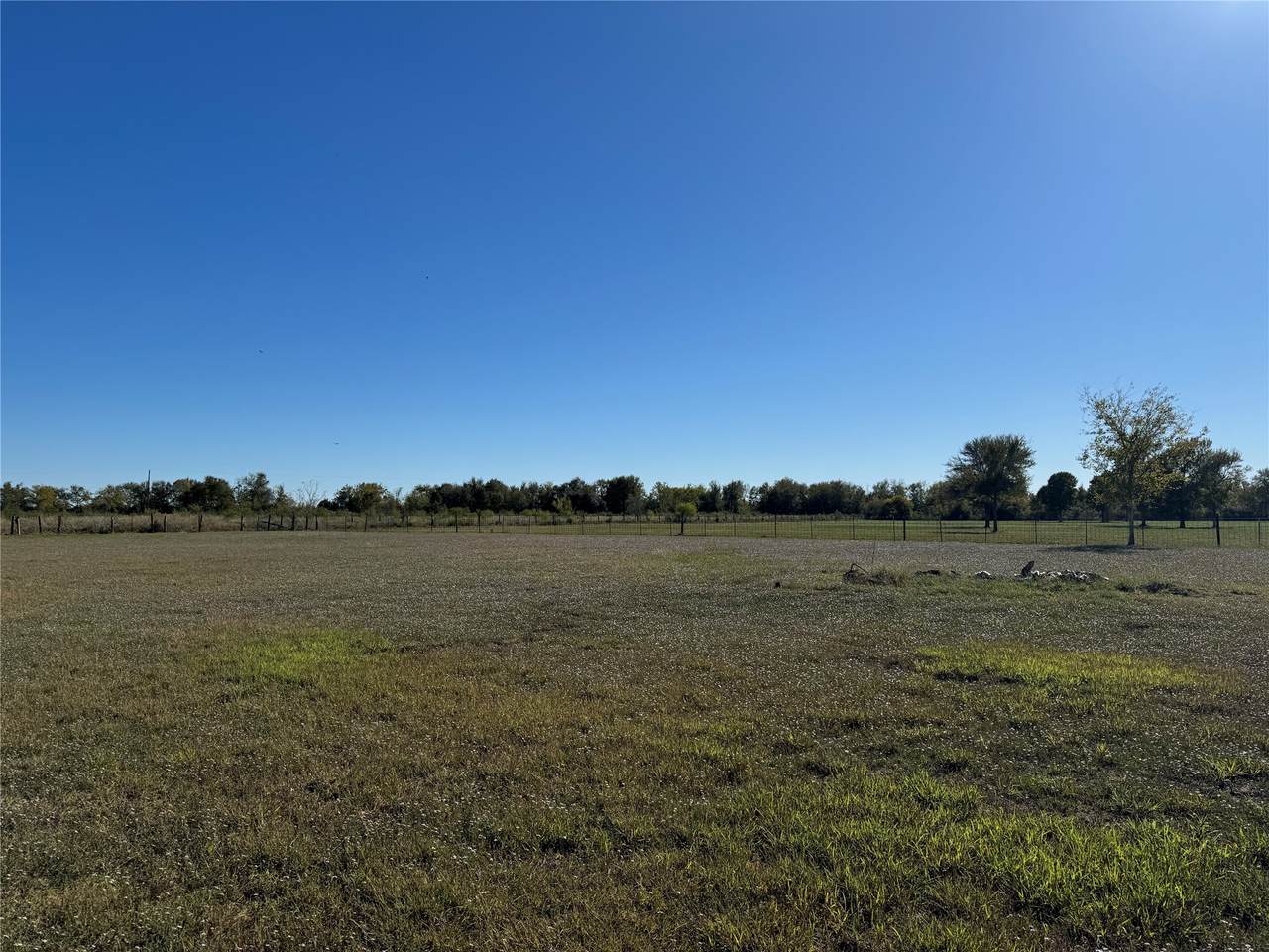 LOT 12 Mesquite Road - Photo 1