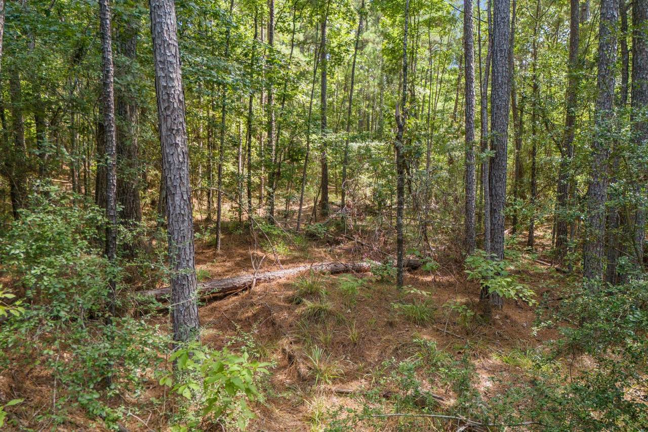 TBD Water Tower Road - Photo 1