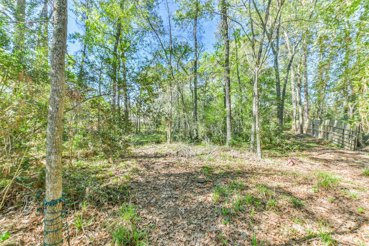 1811 Black Bear Drive - Photo 1