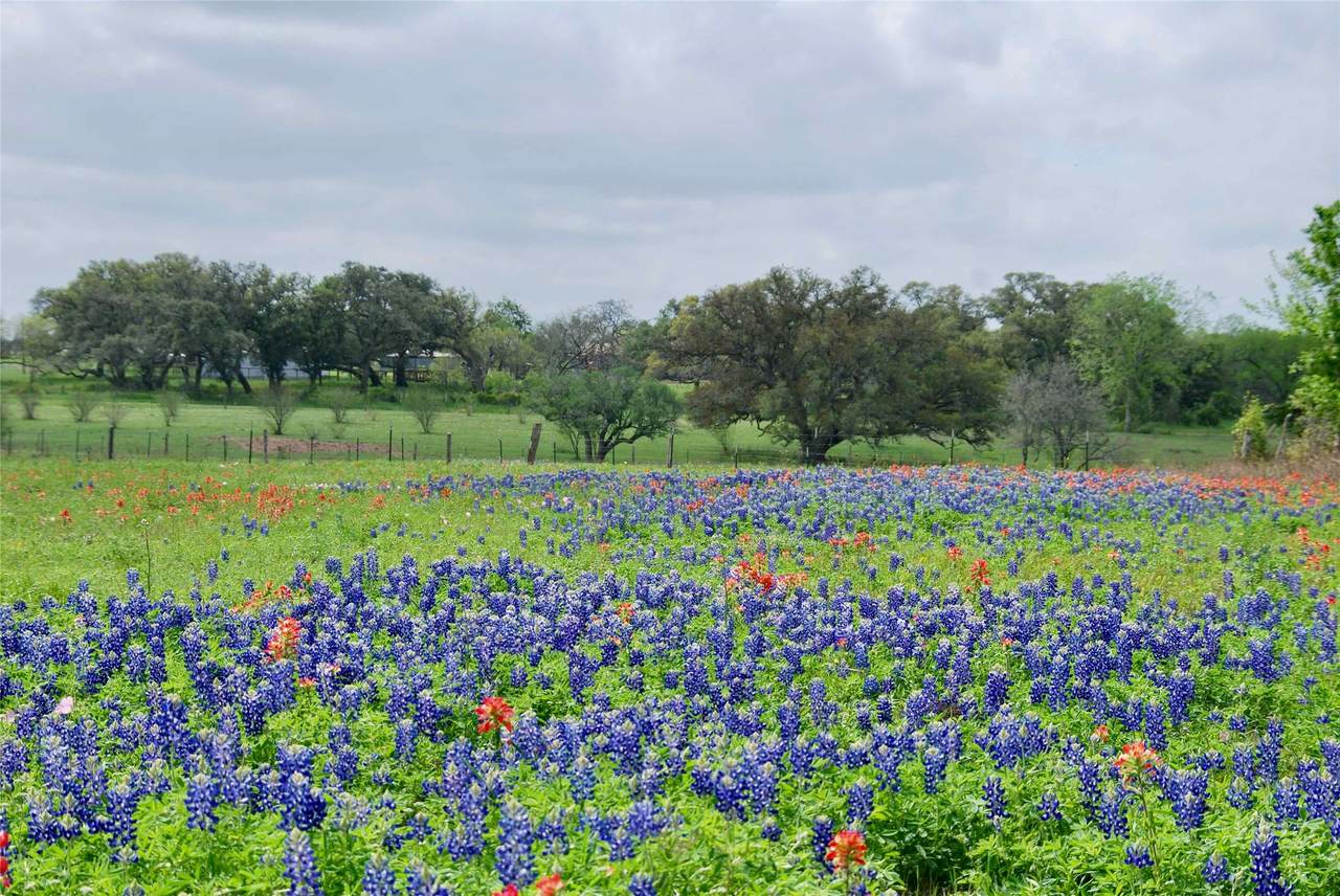TBD Us Hwy 90A - Photo 1
