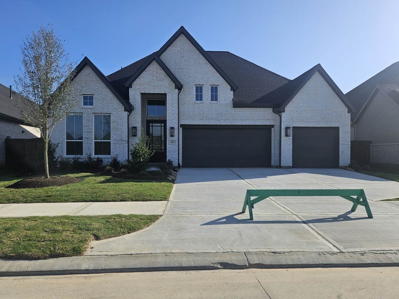 616 Golden Aster Boulevard - Photo 1