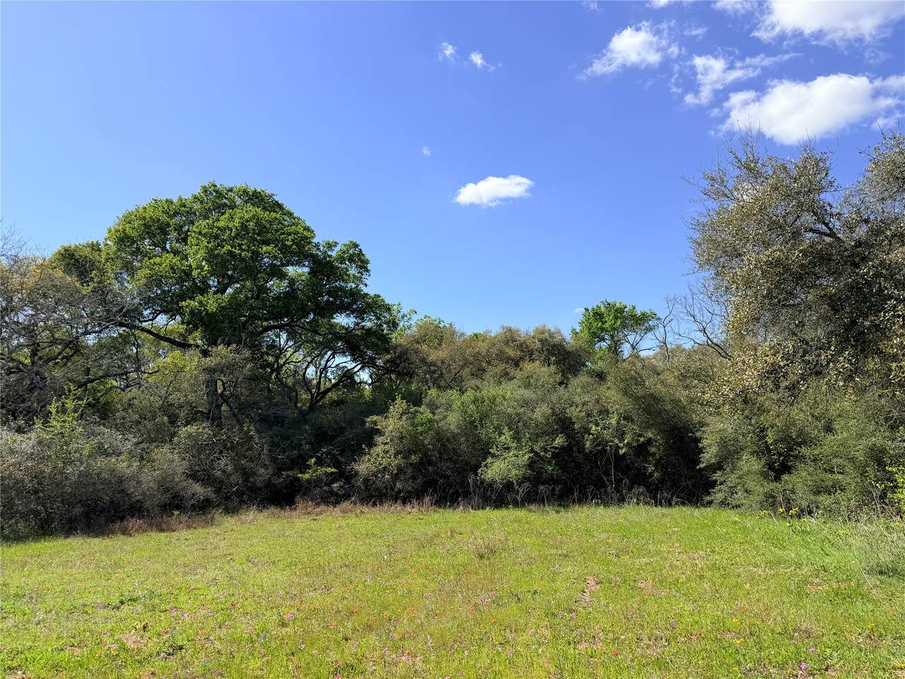 000 Loose Cow Road - Photo 1