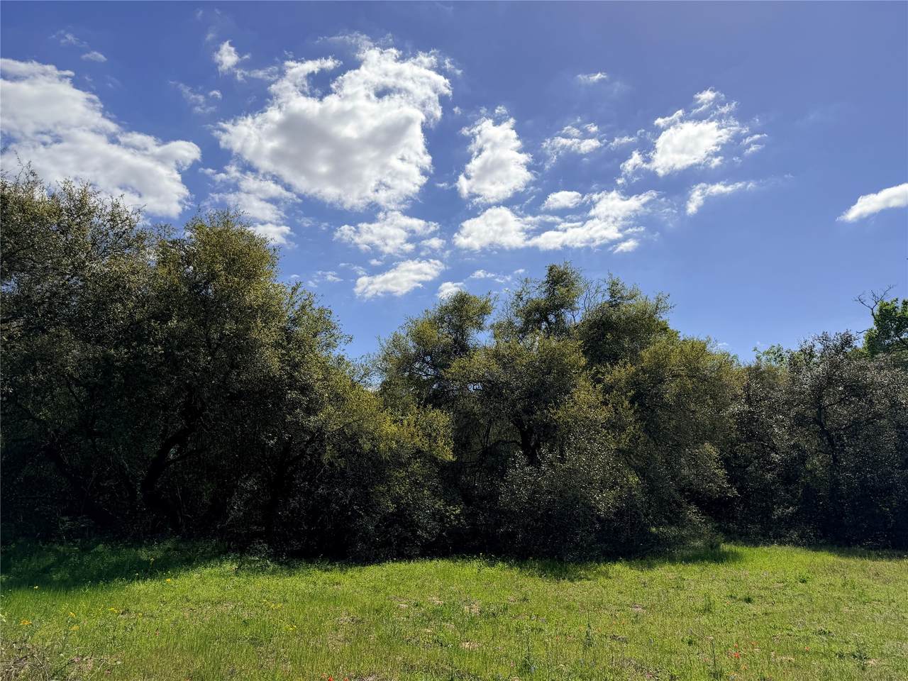 https://bt-photos.global.ssl.fastly.net/harmls/1280_boomver_2_59387464-2.jpg