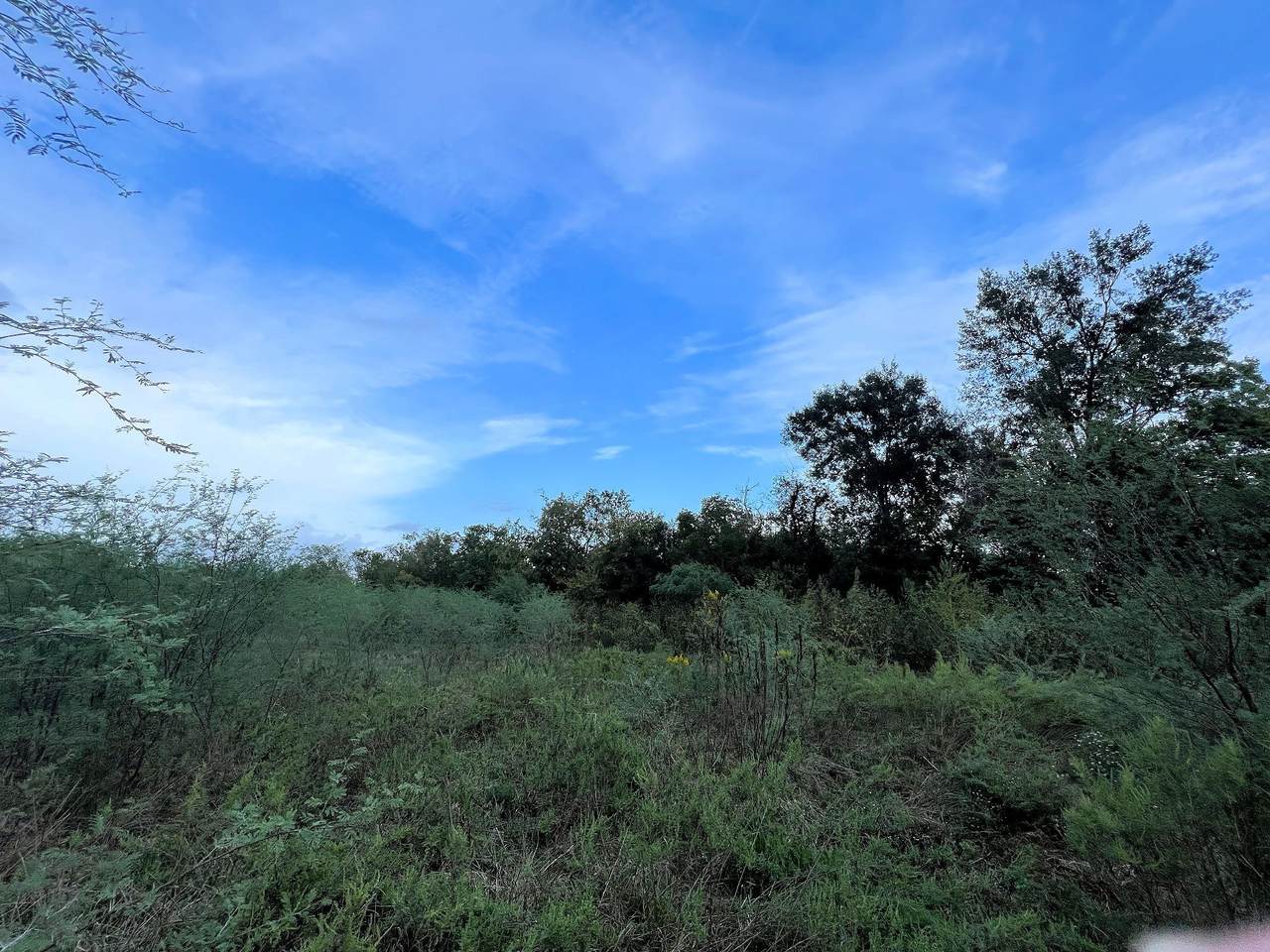 506 Rogers Street - Photo 1