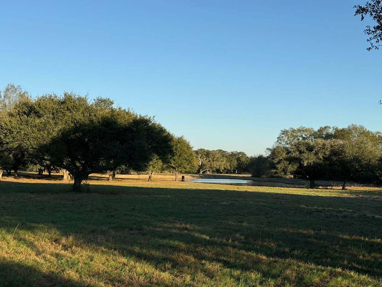 TBD Rubin Lee Road - Photo 1