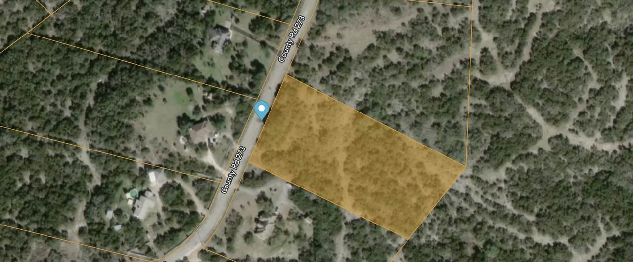 244 County Road 273 - Photo 1