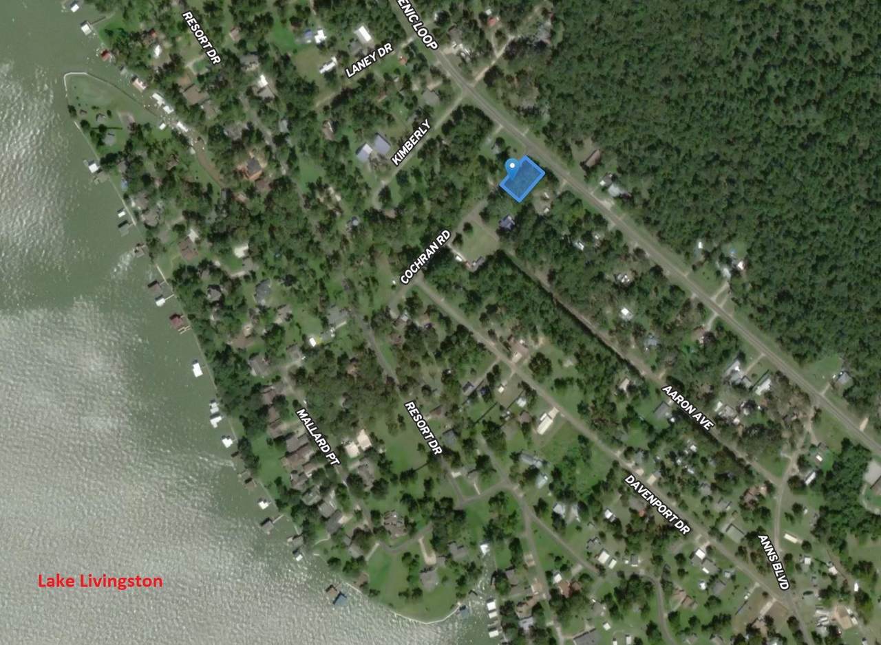 133 Ernest Cochran Road - Photo 1