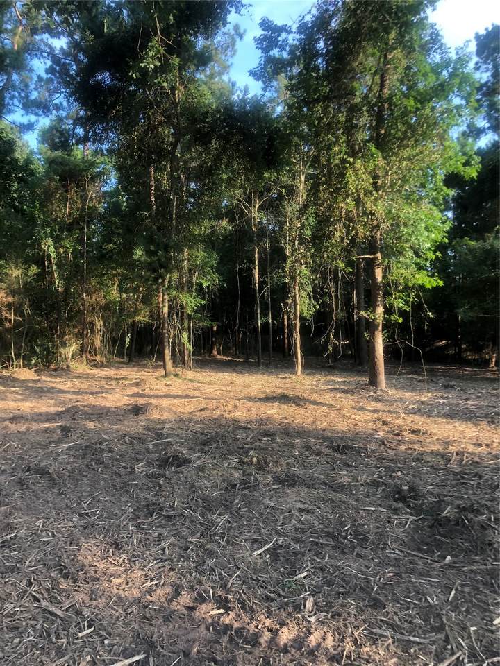 722 Carriage View Lane - Photo 1