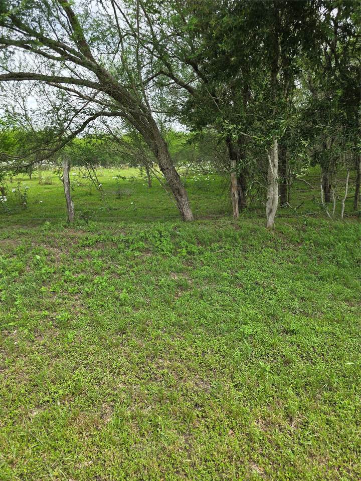 https://bt-photos.global.ssl.fastly.net/harmls/1280_boomver_2_60809969-2.jpg
