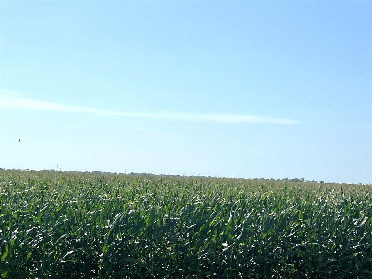 00 County Road 403 - Photo 1