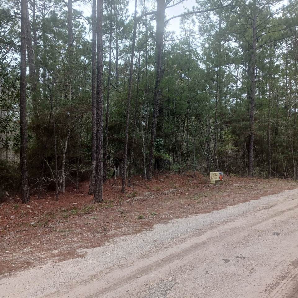 TBD Idlewood Court - Photo 1
