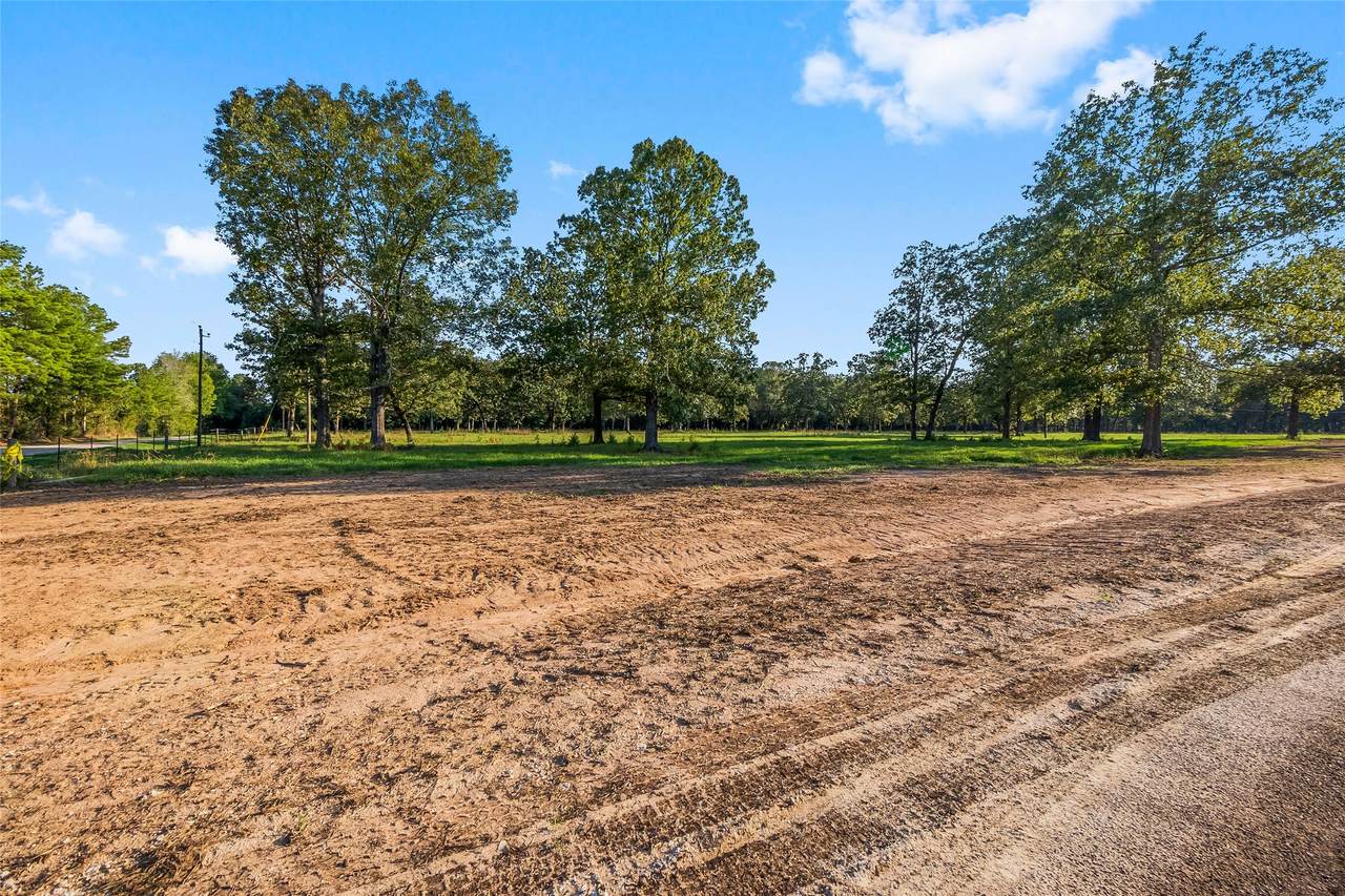 6160 Alans Memorial Lane - Photo 1