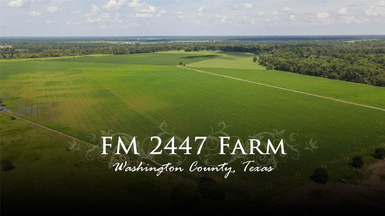 00 Fm 2447 - Photo 1