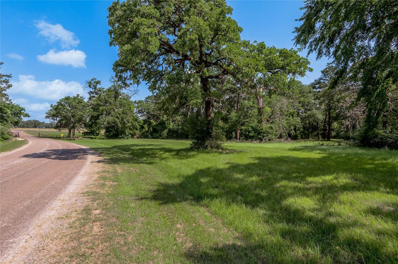 Lot 3 Tara Drive - Photo 1