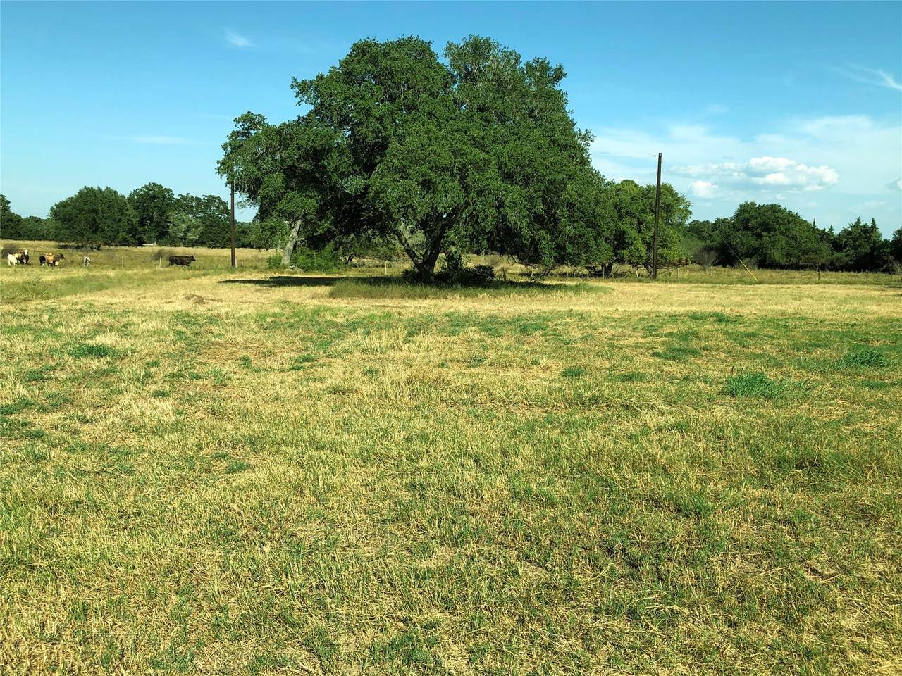 Lot 7 Pvt 1672 - Photo 1