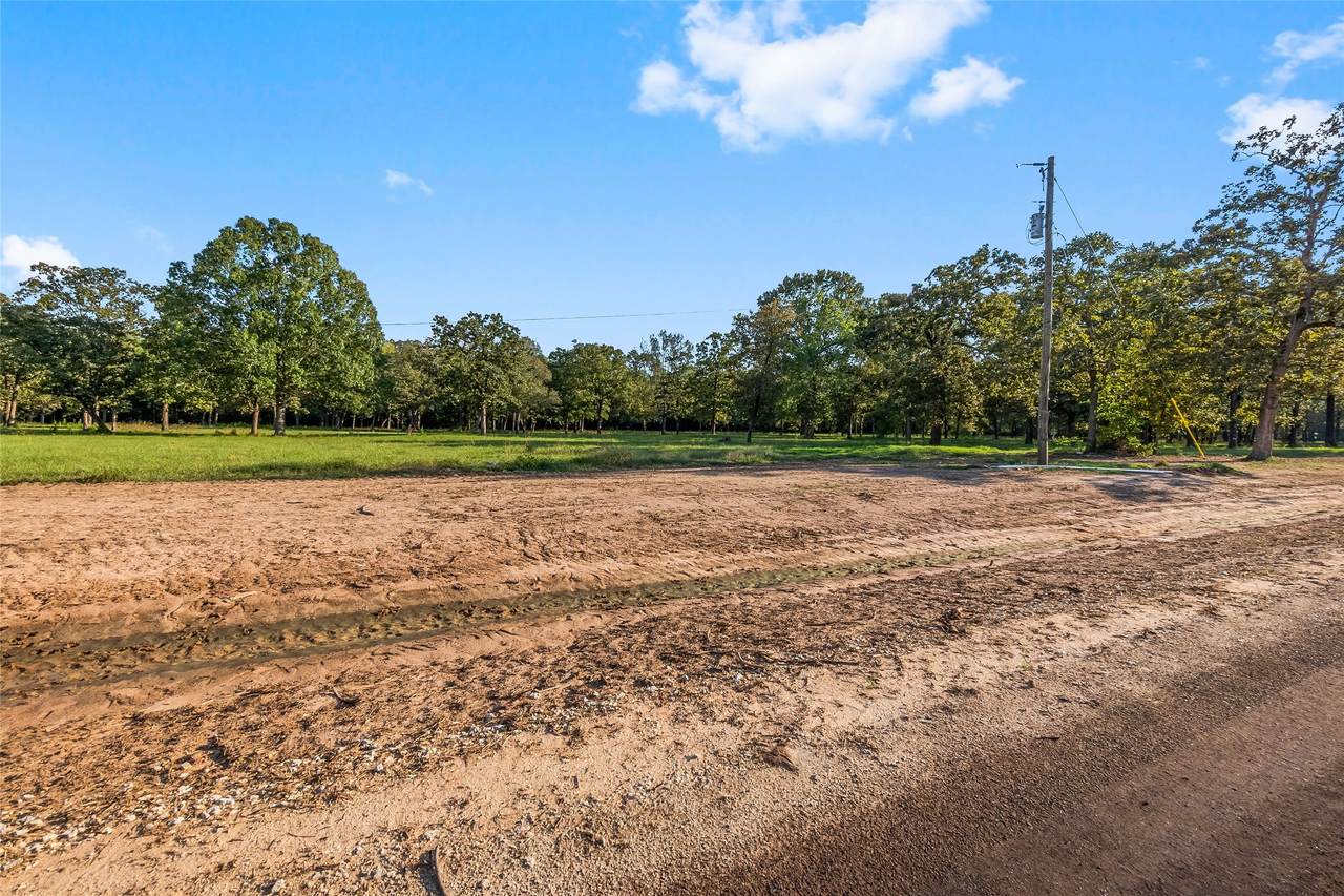 6124 Alans Memorial Lane - Photo 1