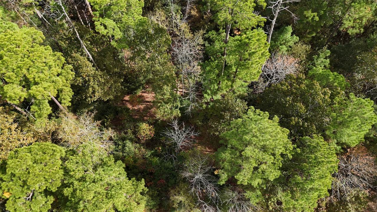 160 Nina Trail - Photo 1