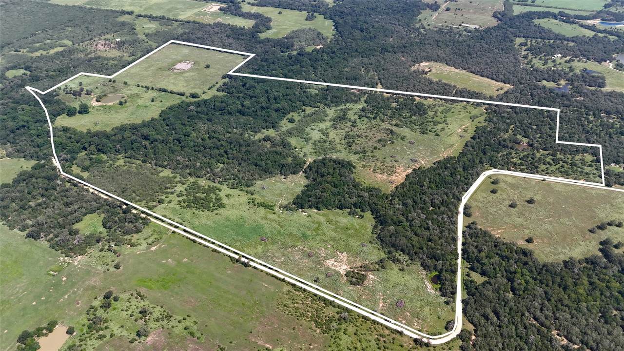 9590 Maynard Hallmark Road - Photo 1