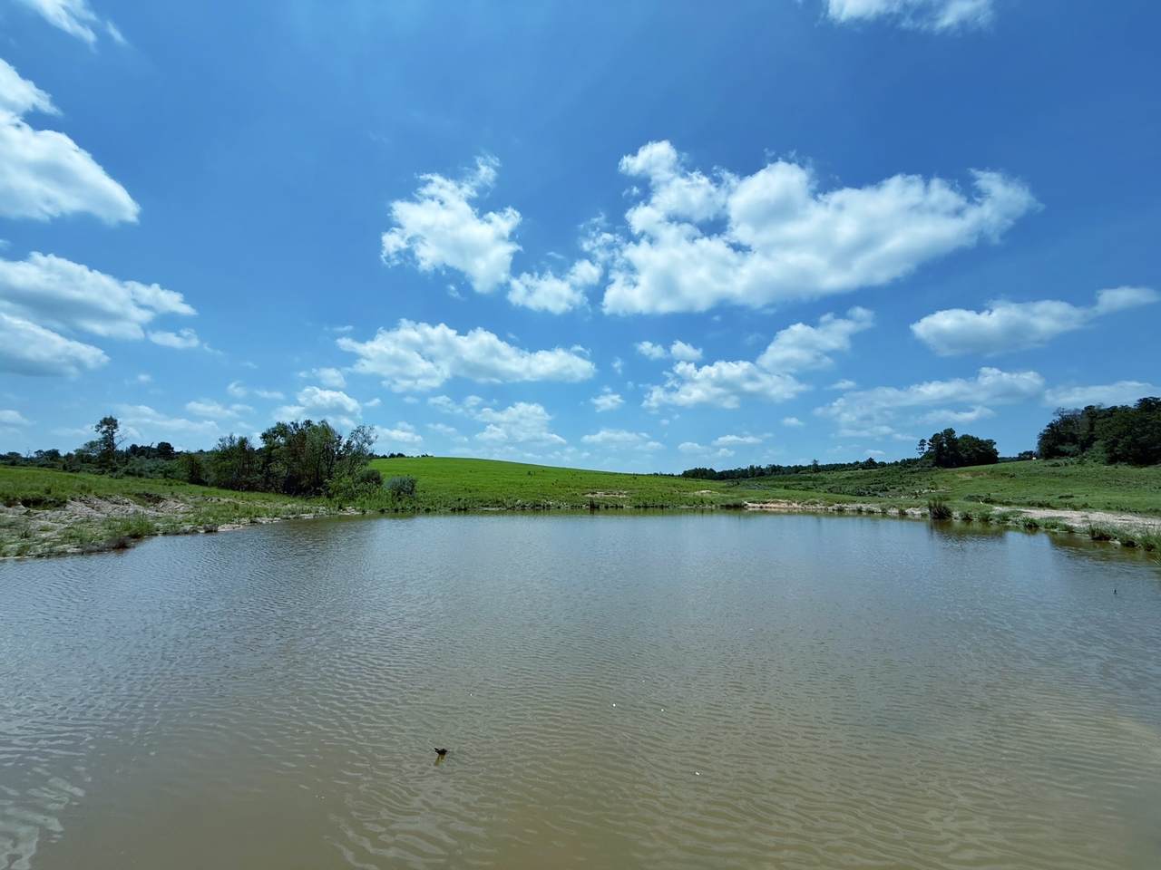 143 ac Cr 236 - Photo 1