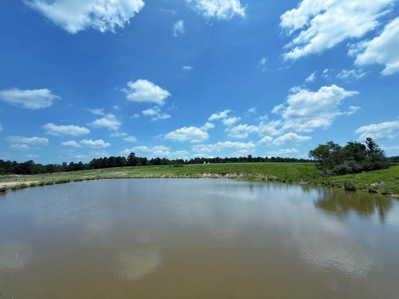 https://bt-photos.global.ssl.fastly.net/harmls/1280_boomver_2_68612293-2.jpg
