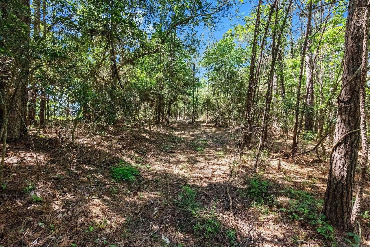 0 Paradise Drive - Photo 1