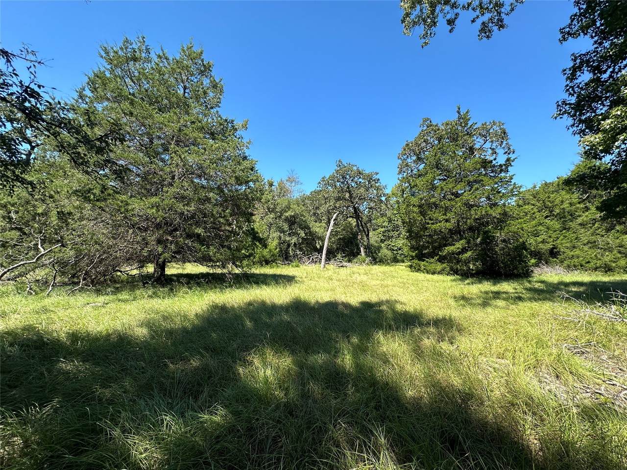 TBD Tract 2 Cr 481 - Photo 1