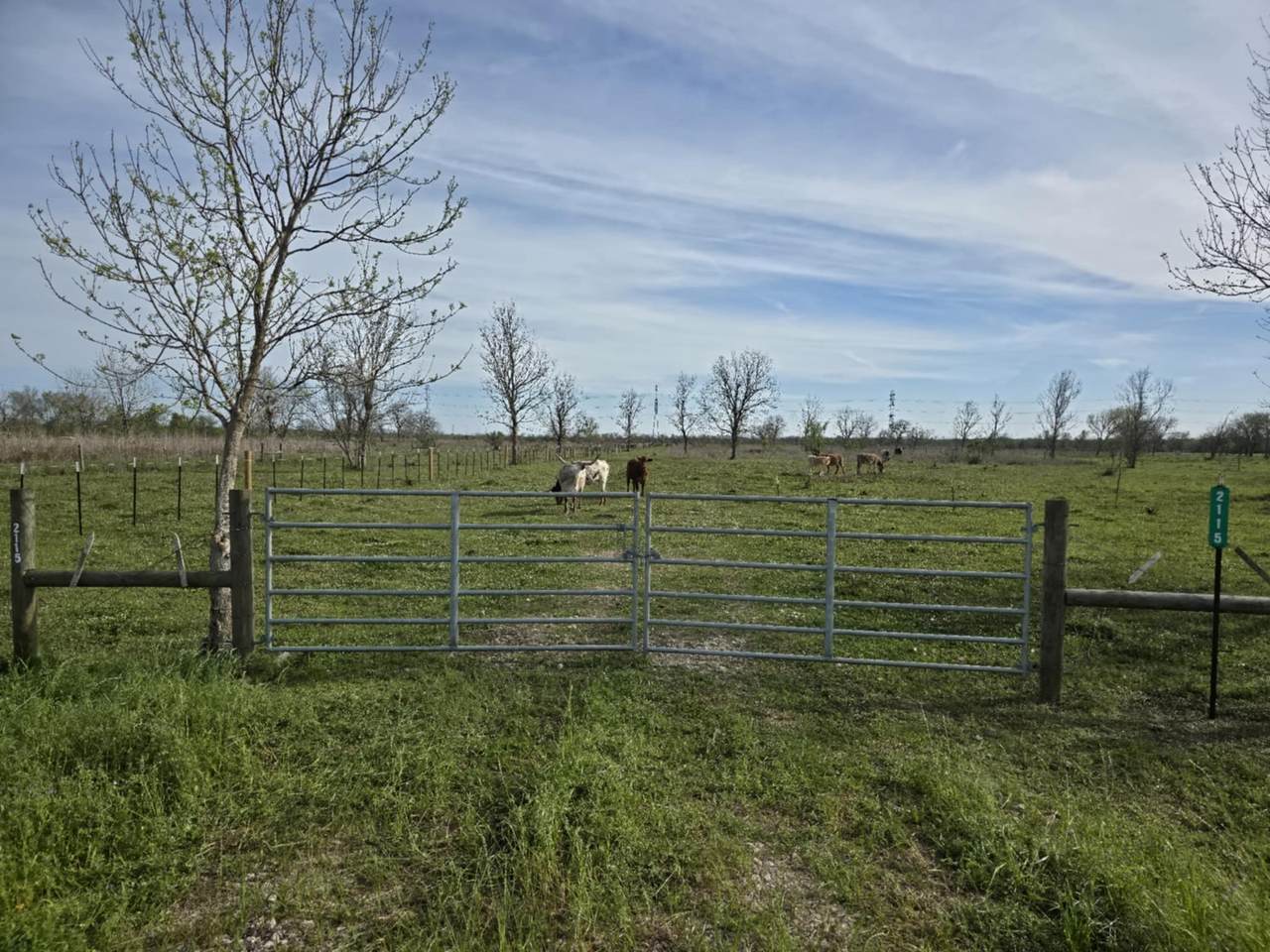 2115 County Road 244 - Photo 1