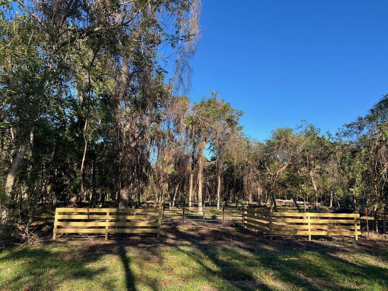 519 County Road 849 - Photo 1